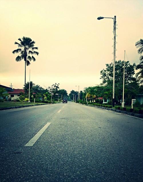Bao lâu rồi bạn không về nhà?