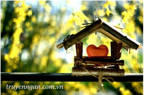 Biển đời và chiếc nón lá