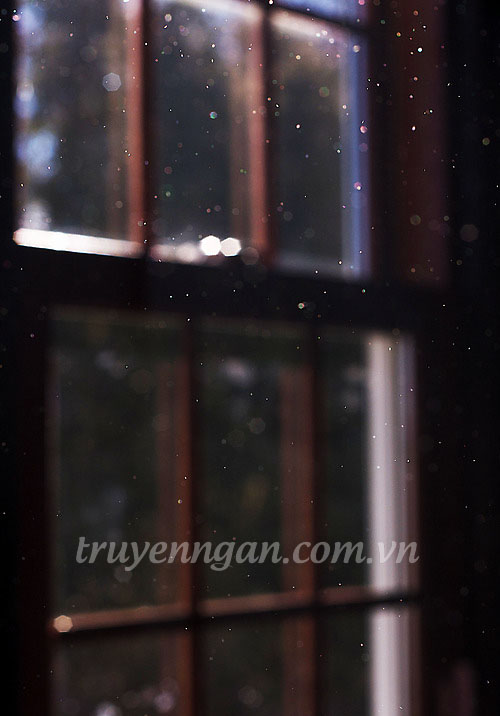 Biến mất trong màn mưa