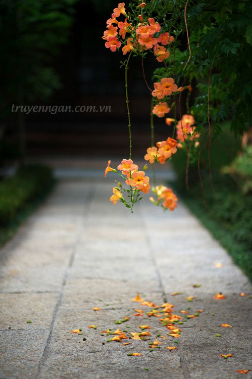 Bố luôn ở đó mà