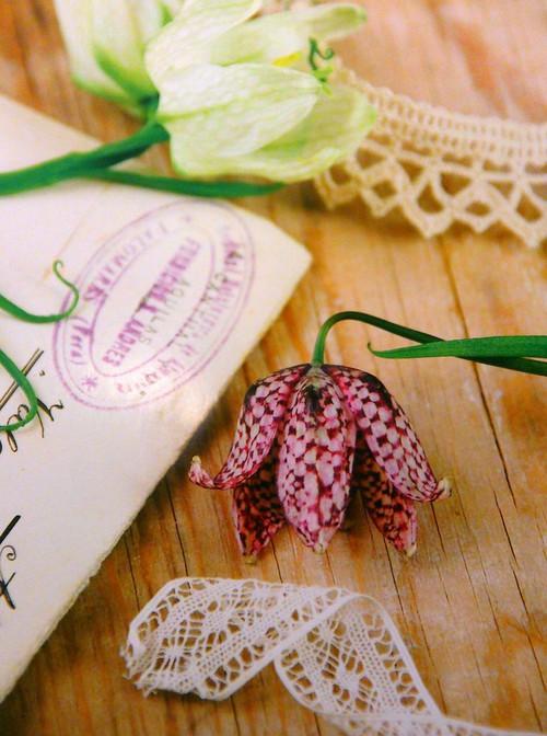 Bức thư tình không bao giờ được gửi…