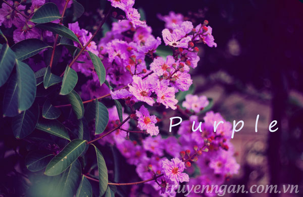 Bụi thời gian đã phủ lên cả một miền ký ức!