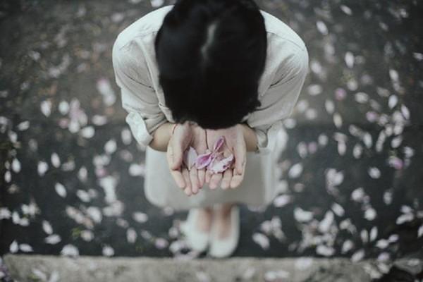 Cành hồng có gai