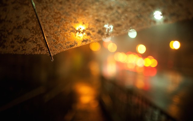 Chậm lại, một chút, một chút thôi, cho tháng 10 cô độc