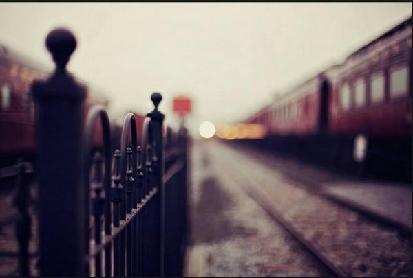 Chỉ cần em nói sẽ đợi... (Kỳ cuối)