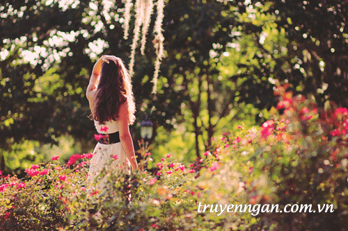 Chỉ có bạch tú cầu hiểu