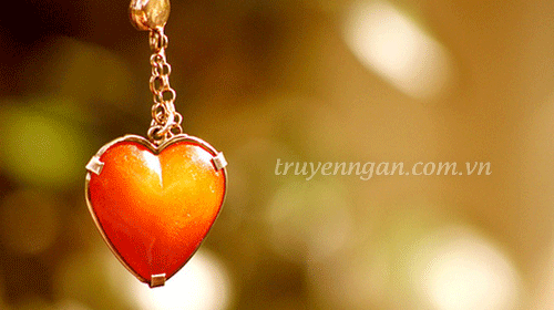 Có một loài hoa trắng