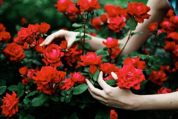 Có phải mùa đông sắp đi qua không anh?