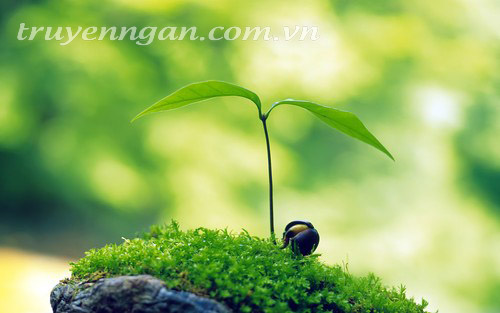 Con cừu đen