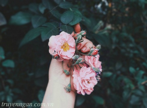 Cơn gió vĩnh hằng