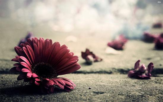 Cứ mỉm cười mà sống, đau buồn nào rồi cũng sẽ qua thôi...