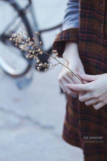 Dẫu biết rằng cố quên lại càng nhớ, thôi dặn lòng cố nhớ để mà quên...