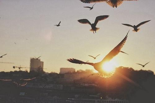 Để mẹ kể con nghe, thời đại mẹ đang sống…