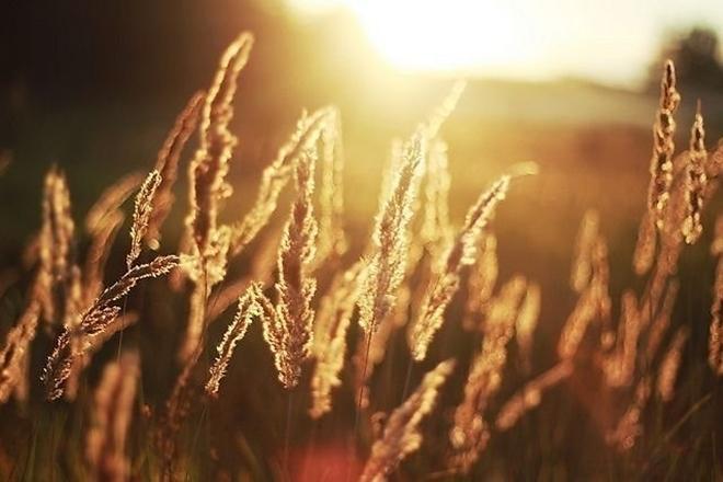 Đợi chờ cũng là một dạng tình yêu...