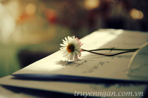 Đời đời kiếp kiếp
