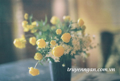 Đừng xa anh...như chị em đã...