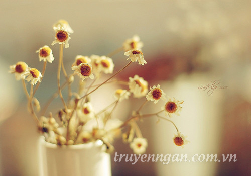 Giọt thứ năm hạnh phúc