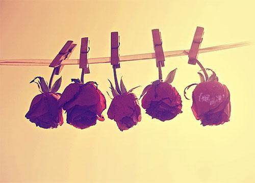 Giữa cuộc sống này, phải mạnh mẽ bao nhiêu là đủ?