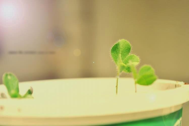 Hãy cứ vấp ngã để thấy đời đa sắc...