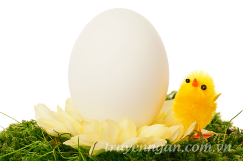 Hóa ra mọi thứ trong cuộc sống đều đơn giản