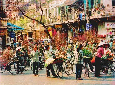 Khi đào phai không là đào phai...