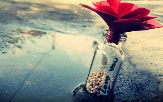 Không lẽ em vẫn còn ngây thơ mà tin rằng, anh sẽ yêu em nhiều như em yêu anh...