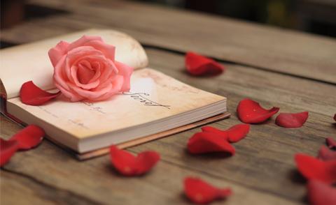 Là một người Việt, Mẹ sẽ dạy con…