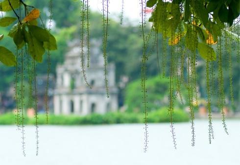 Lắng nghe chông chênh thu Hà Nội…