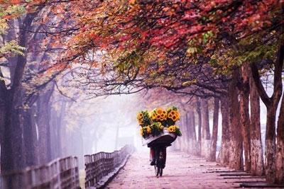 Lắng nghe chông chênh thu Hà Nội…