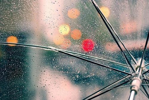 Mạnh mẽ lên cô gái. Hãy hãnh diện vì đã yêu hết mình!