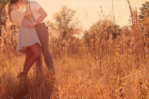 Mimosa và những cung đường đầy nắng