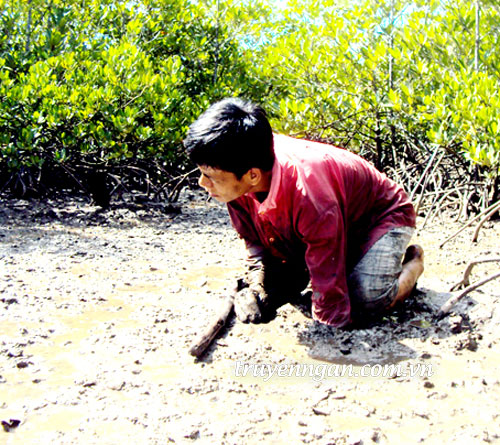 Một người anh
