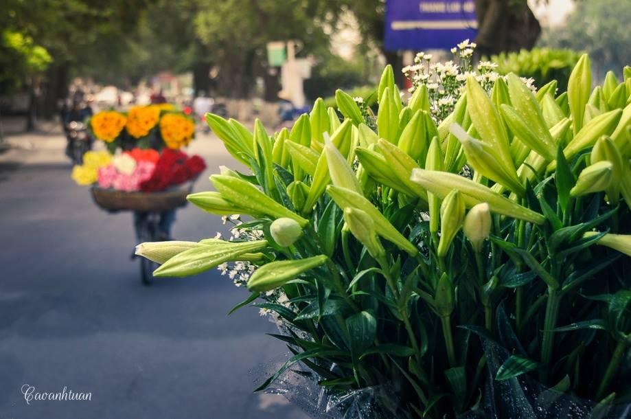 Mùa gió tháng tư, cho ta những nhớ - quên cần thiết...