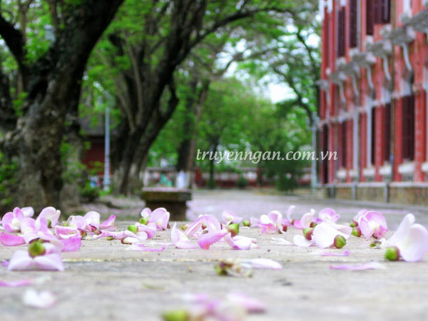 Người đánh trống trường