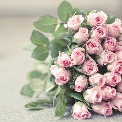 Những gì con gái cần trong đời không chỉ là một chàng trai!