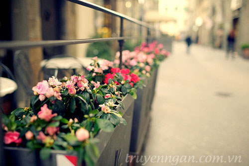 Những ô cửa màu xanh