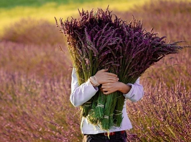 Nỗi đau này biết bao giờ mới được hong khô?