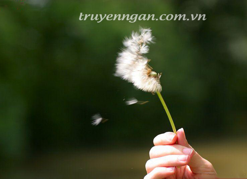 Ôi hạnh phúc mong manh, tình yêu mong manh!