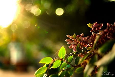 Sài Gòn hai mùa nắng mưa, em một mùa thương nhớ...