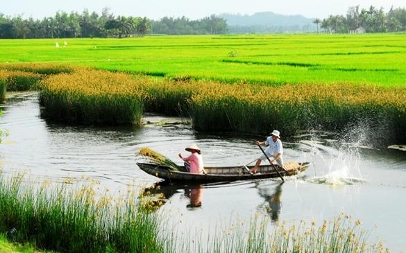 Tết Đoàn Viên