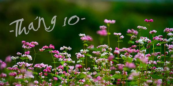 Tháng 10 đến rồi, em và anh hãy cùng nhau viết nên những giai điệu tình yêu...