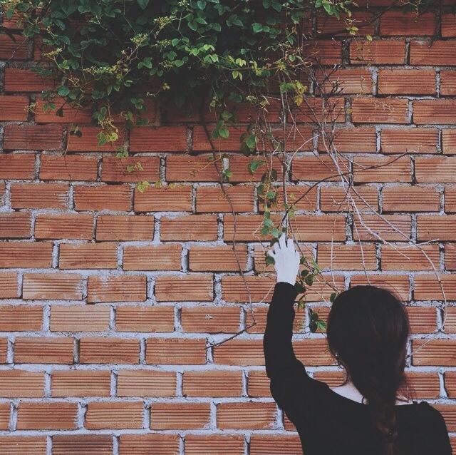 Tháng Mười Một của tôi là một sự bỏ cuộc đã được báo trước...