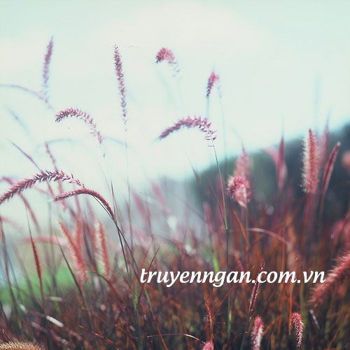 Tháng năm không ở lại