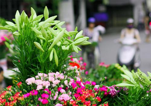 Tháng tư nơi ấy có gì vui