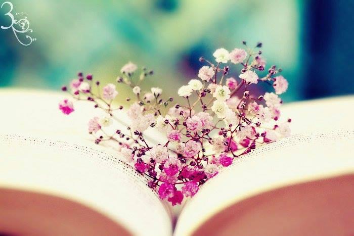 Thứ gì cũng vậy, có phải khi mất đi rồi, người ta mới nhận ra giá trị không?