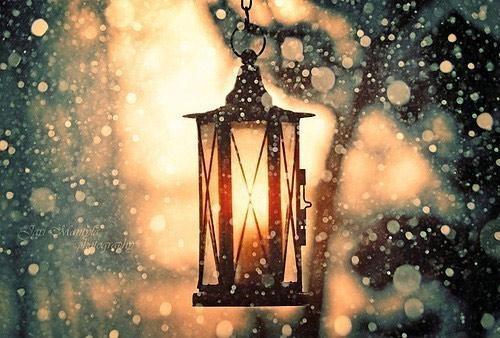 Thương em, cô gái trơ mình giữa mùa đông hao gầy...