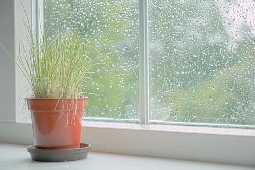 [Truyện ngắn] Chỉ còn tiếng mưa rơi...