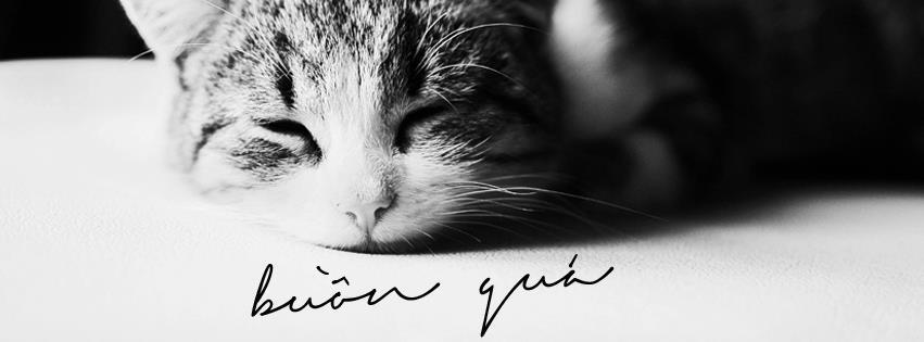 Yêu sâu, quên lâu và nhớ kỹ!