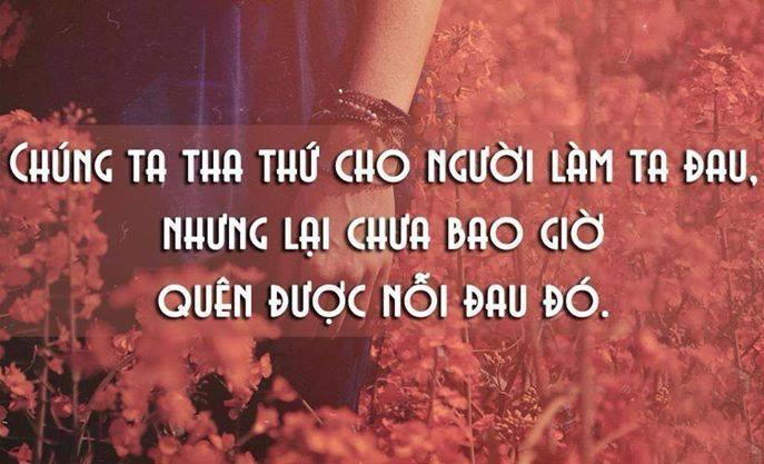 Yêu, thì là yêu thôi...